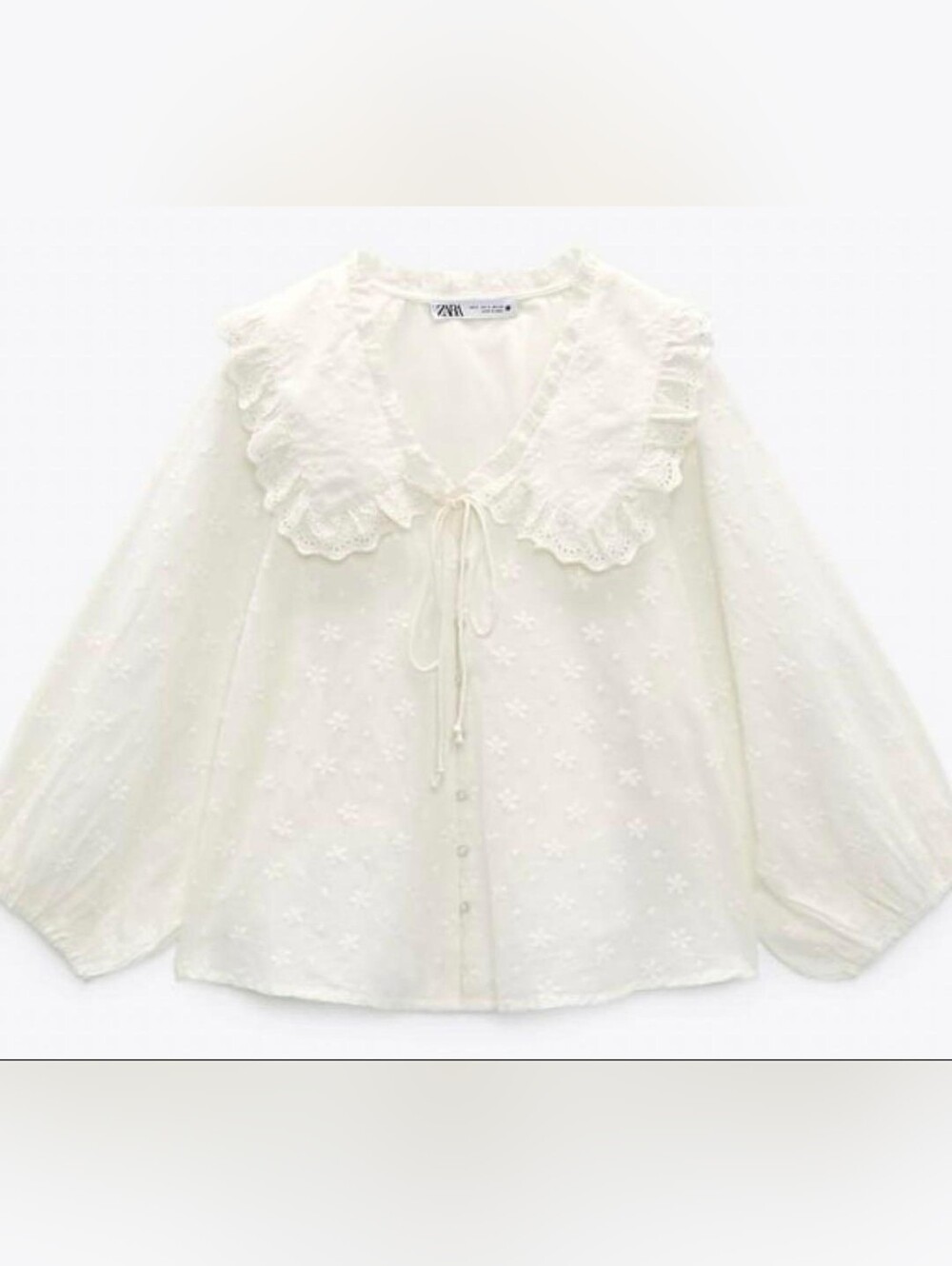 Zara Peter Pan Collar Embroidered Blouse